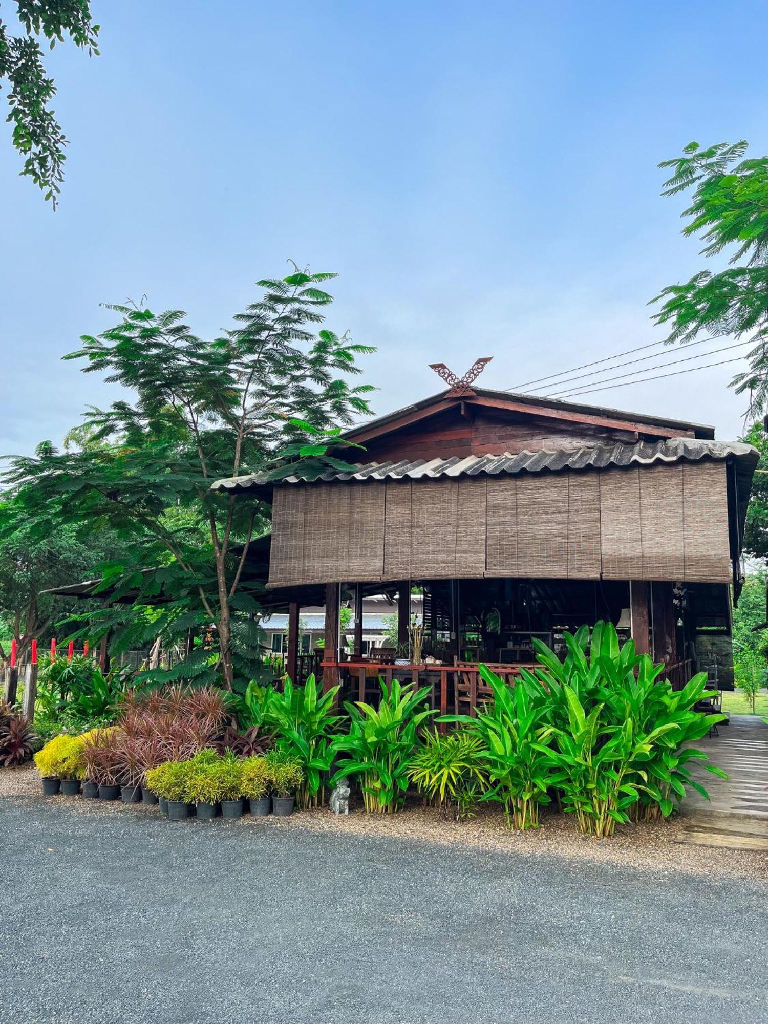 North Pine Forest Homestay บ้านไม้สนโฮมสเตย์ Ban Mae Pong Exterior photo